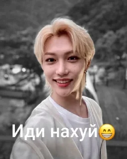 😁 Скзжиза @pisapopa228popa, sticker Telegram 23 sur 36