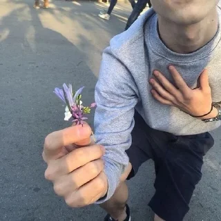 🌹 @ssstickkkers, стікер Telegram 19 з 28