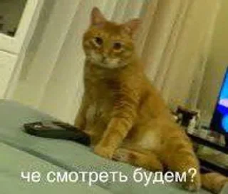 🌟 Тигра, стікер Telegram 15 з 22