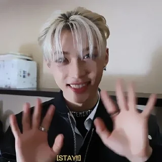 🦊 ࣪ .felix ‹‹ ✶ @polaroidstikers, sticker Telegram 14 sur 40
