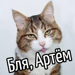 😕 Ну бля ... @GIFSTIKI ⬅ 🔞, стікер Telegram 9 з 119