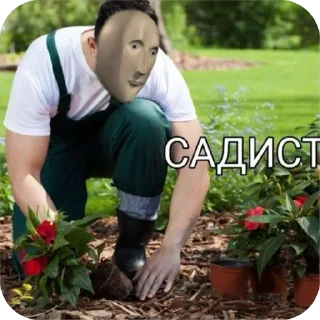 🌟 чем гуще лес.., стикер Telegram 9 из 120