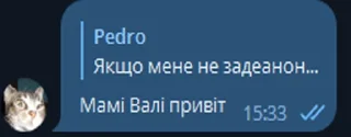 😎 Приколи з котами ФБ-32, стикер Telegram 2 из 76