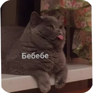 🐱 Все нормально, Telegram sticker 20 of 42