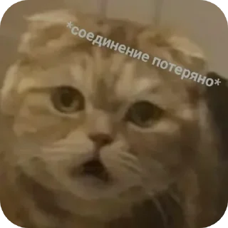 👍 Все нормально, Telegram sticker 24 of 42