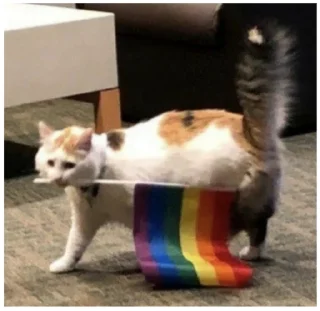 🏳‍🌈 Моя твоя не понимать, Telegram sticker 6 of 73