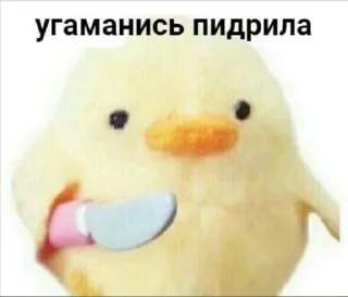🗿 Хз что за стикеры, sticker Telegram 12 sur 115