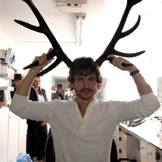 🦌 что похавать, Telegram sticker 10 of 77