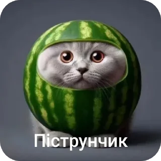 👍 Пiструн, sticker Telegram 6 sur 29