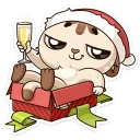 Зимний Котик (@TgSticker)