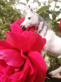 🌹 Для тг каналов, Telegram sticker 11 of 12