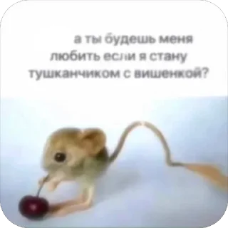 ✨От Анатолия))✨ :: @kotik_nomer1