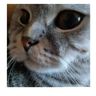 😔 максим максимус макс, Telegram sticker 11 of 14