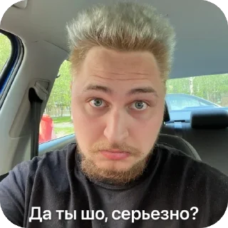 🫥 @velokorchofficial -это кто?, стикер Telegram 13 из 68