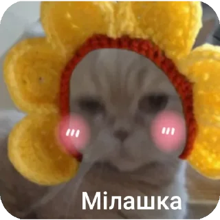 🥲 Мої тваринки, Telegram sticker 13 of 80