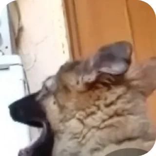 Мартин топ