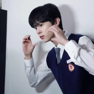 🎭 woo seok by @nsktick, Telegram sticker 17 of 45