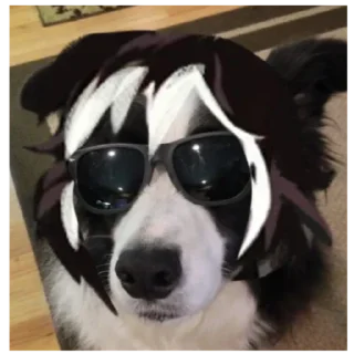Cody. Oc Женечки😎💕💘
