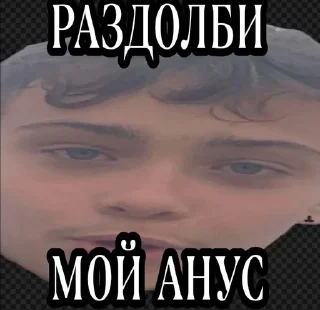 🤤 NeapsBoresDirts, стікер Telegram 9 з 48