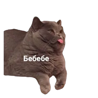 😜 Омагад, Telegram sticker 8 of 53