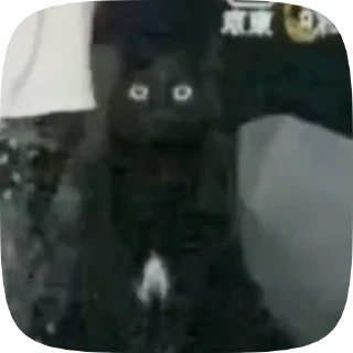 ︎