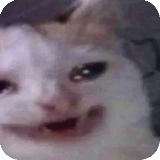☠ Шиза, Telegram sticker 8 of 99