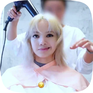 ⌗៹ ࣪ lisa fr @helpfrrose 𓂃
