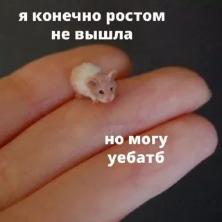 😡 Пикчи 2.0, sticker Telegram 23 sur 83