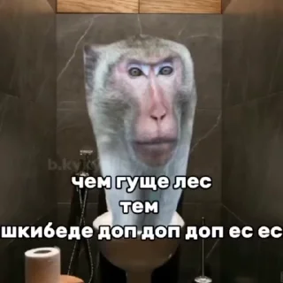 🌟 Лучший пак для лучших(спиженных стиков со всего инета), стікер Telegram 19 з 63