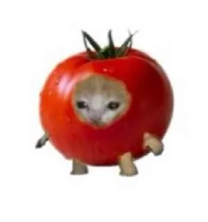 🍅 Котики от Максима, стікер Telegram 6 з 50