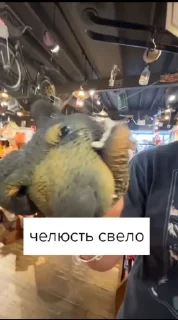 🌟 Фигня какая-нибудь, Telegram sticker 5 of 6