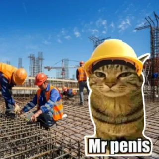 👷‍♂ Mr_penis, sticker Telegram 8 sur 38