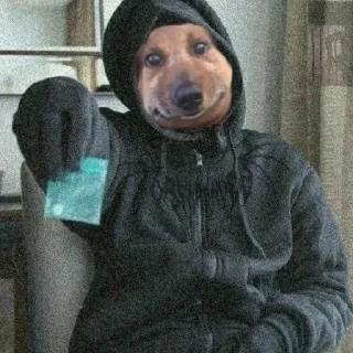 😏 собака смешная, стикер Telegram 19 из 36