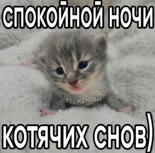оуу еес)