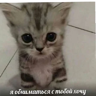 😄 я тебя люблю. .  ., sticker Telegram 10 sur 28