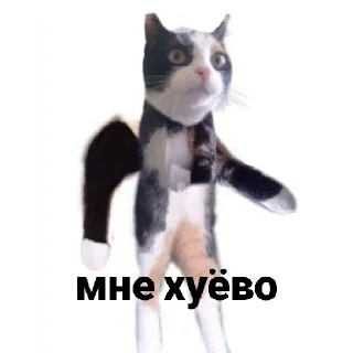 🤒 Алиса, стікер Telegram 10 з 14