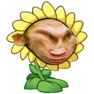 🤨 Ещё PVZ Дичь, sticker Telegram 22 sur 27