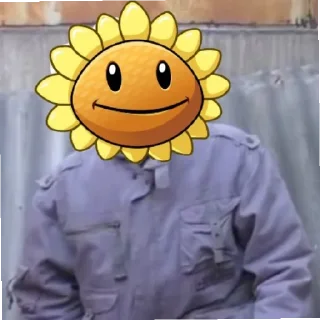 🤨 Ещё PVZ Дичь, sticker Telegram 9 sur 27