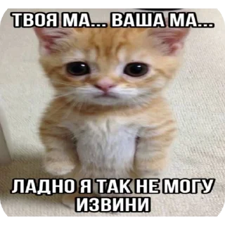 🥰 коти, Telegram sticker 7 of 120