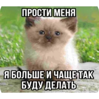 🥰 коти, Telegram sticker 5 of 120