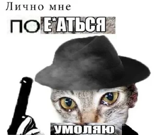 для намёков 🫦