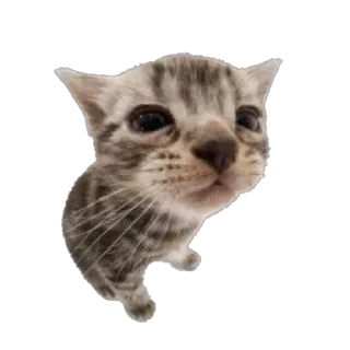 😑 комфорт^, sticker Telegram 8 sur 50