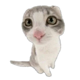😡 комфорт^, sticker Telegram 5 sur 50