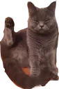 🤔 Макс, Telegram sticker 15 of 60