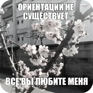 🌿 хд стики от @rudeheart, стікер Telegram 19 з 120