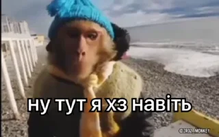 🤔 Вкрав другу мавпу, стикер Telegram 6 из 50