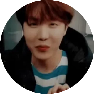 ❤️ J-hope_Hoseok_JungHoseok, стикер Telegram 14 из 50