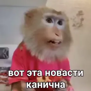 🌟 манки брадки 2, стикер Telegram 7 из 120