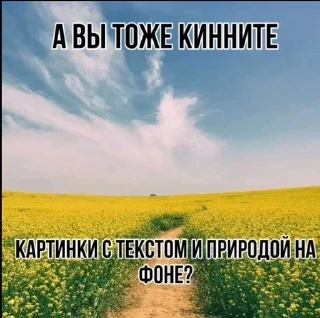 🌟 Кинн | 𝖘𝖎𝖜𝖉.𝖜𝖗𝖒𝖊✞, sticker Telegram 15 sur 15