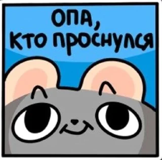 🌟 крыска кыска, стикер Telegram 14 из 44